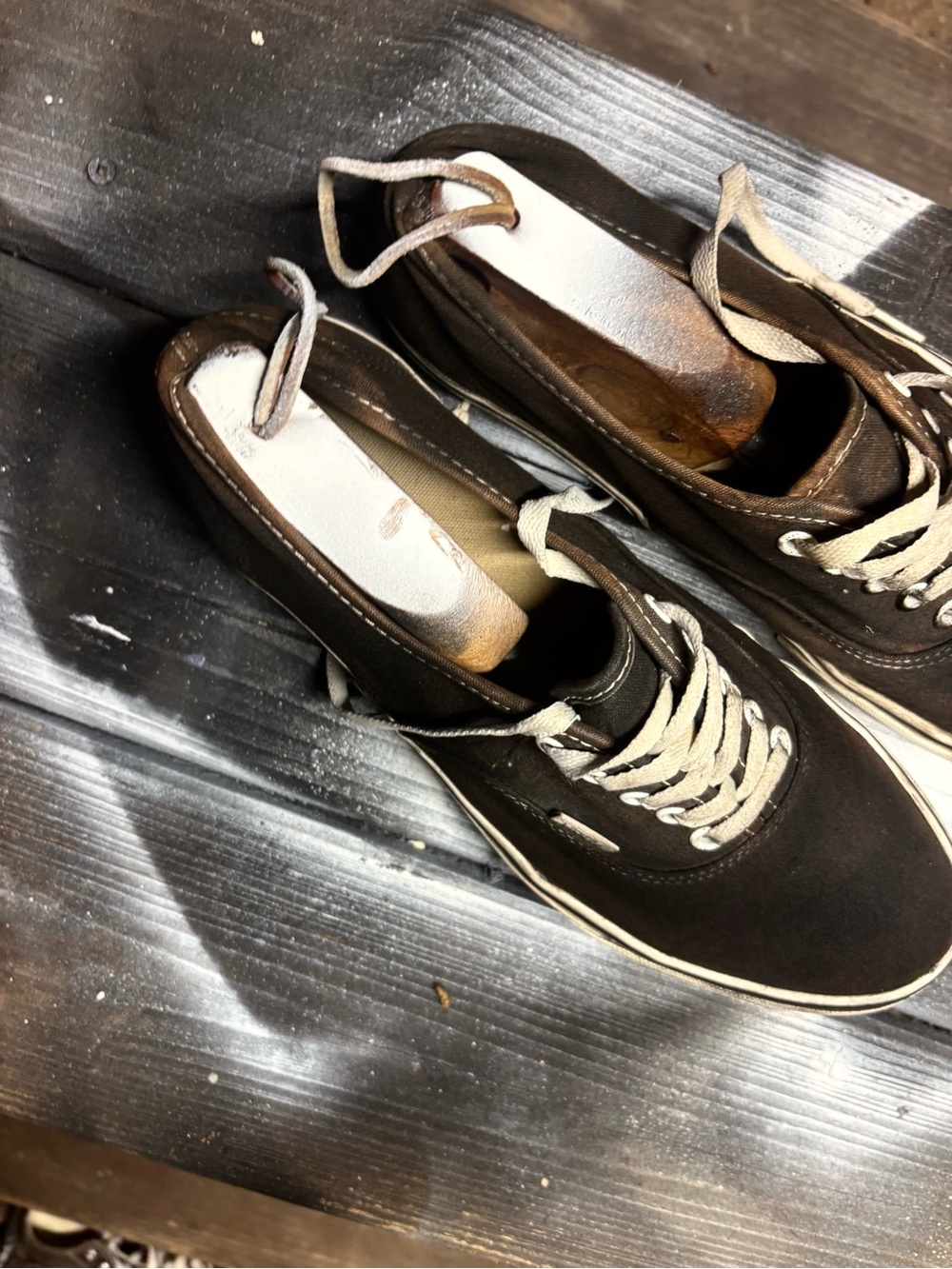 Vans Low-Top Canvas Sneakers in Dark Brown with Cream Laces - Picture 8 of 9